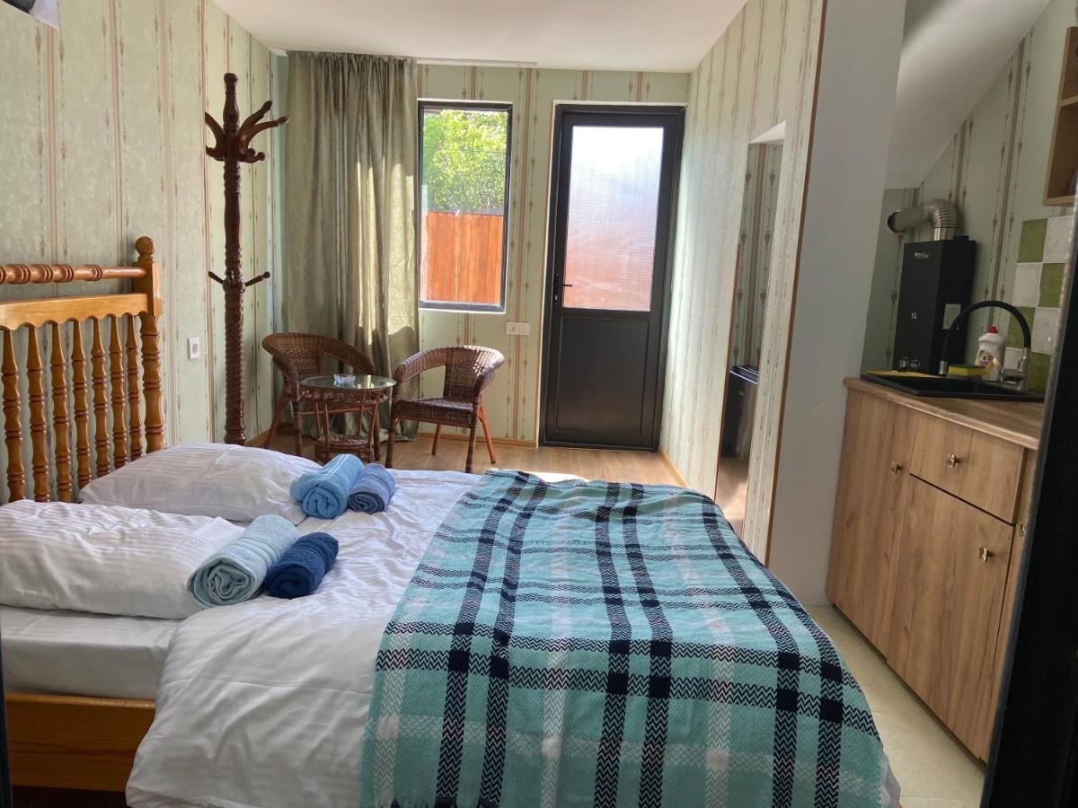 Nina'S Corner Apartment Borjomi Luaran gambar