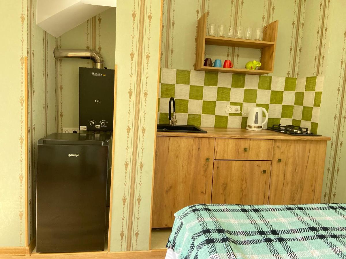 Nina'S Corner Apartment Borjomi Luaran gambar